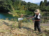 �S�Ă̋c�Ă������v�ŏ��F����܂����B