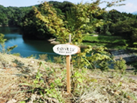 ������o�Ȏ�