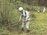 �X�ѐ����i��������