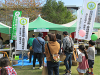 �΂̋���(�~�j�v�����^�[�E�|�ڐA�S�e�Â���)�ɕ��ԎQ����