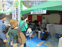 �΂̋���(�~�j�v�����^�[�E�|�ڐA�S�e�Â���)�̏�