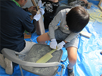 �|�ڐA�S�e�Â���