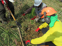 ��R���}�c��A