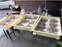 ⡖x��i�傫��⡂������܂����j