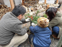 ��~���Â���i�l�͂�����������~���Ɂj