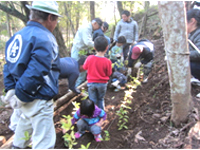 �A���̌��i�Z�������E