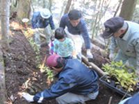 �A���̌��i�Z�������E�j