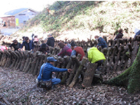 ���V�C�^�P���n�̌�