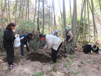 �^�P�m�R�@��̌�