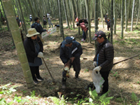 �^�P�m�R�@��̌�