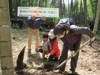 �^�P�m�R�@��̌�