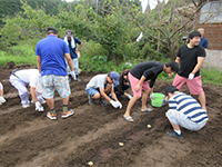 �W���K�C���A�t��