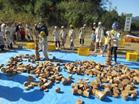 �Ԕ��ސςݖ؋���