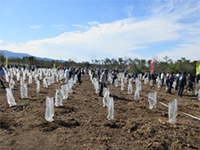 �A������