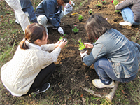 ���ꂢ�ɐA���悤