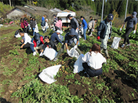 ��������ł��܂���