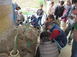 �~�j�叼�Â���i�V���X�l�߁j