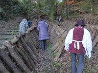 �����������