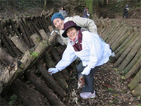 �����������