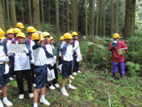 �X�сE�ыƂɂ��Ă̐����𕷂�