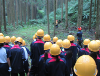 �����@�ɂ�鉺�����Ƃ����w