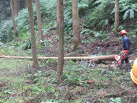 �`�F�[���\�[�ɂ�锰�|��Ƃ����w