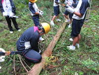 ��m�R�Ŏ}���Ƃ���̌�