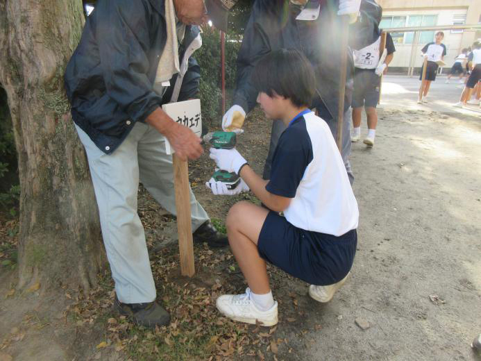 �x���Ɏ�����ݒu����(�d���h���C�o�[�Łj