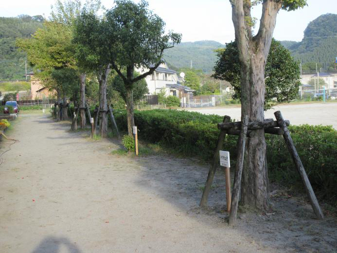 �����ݒu����