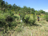 ��������