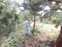 �}���Ƃ����