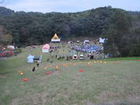 �f��Չ�ꕗ�i