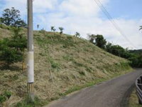 �����芮��