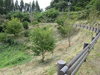 �����芮��