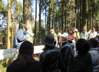 �ыƌ��ꌩ�w