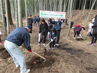 �^�P�m�R�@��̌�