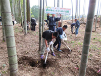 �^�P�m�R�@��̌�