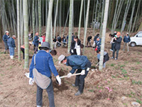 �^�P�m�R�@��̌�