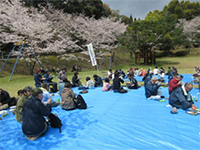 ���J�̃T�N�������Ȃ��璋�H(�����̐X�j