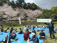 ���J�̃T�N�������Ȃ��璋�H(�����̐X�j