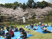 ���J�̃T�N�������Ȃ��璋�H(�����̐X�j