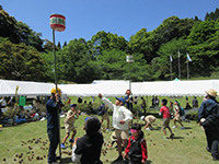 ���ڂ�����ʓ��ꋣ��