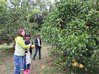 �~�J�����̌�