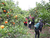 �~�J�����̌�