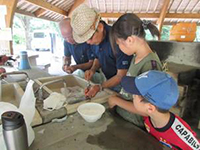 �j�W�}�X�����̌�