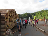 �����؍ޗ��ʃZ���^�[���w