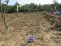 �A������