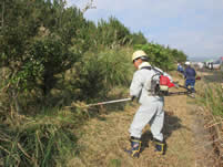 ������ƒ�