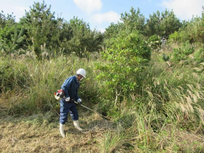 ������ƒ�