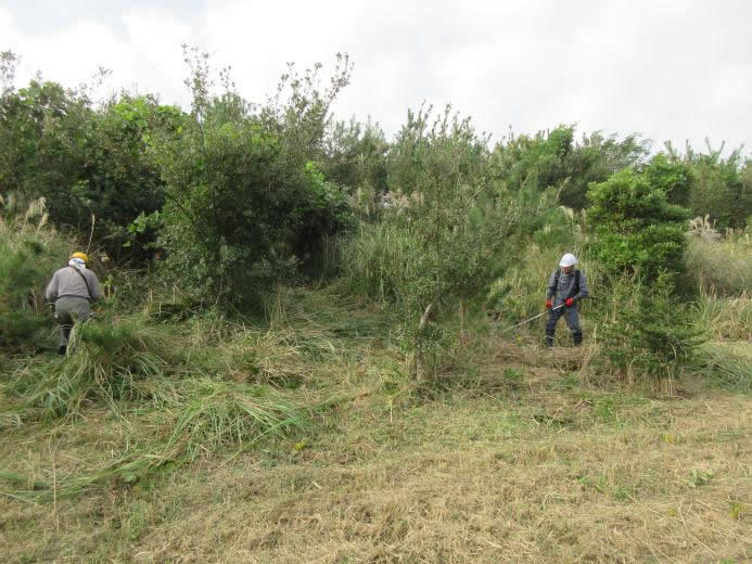 ������ƒ�